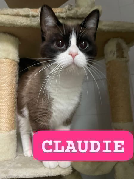 CLAUDIE