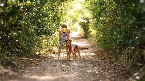 HEAVEN, Mâle Croisé Créole