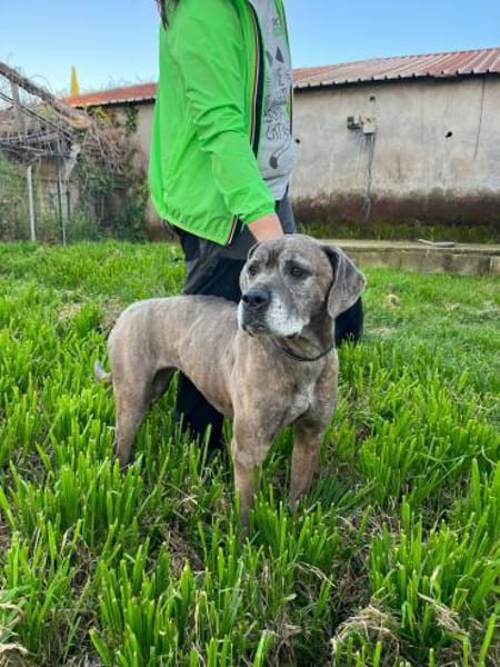 TEA 💚💚💚 braucht neues Zuhause