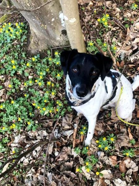 NERO sucht seinen Platz als Einzelprinz