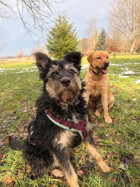 Mirabela ❤ Hübsches Hundemädchen sucht