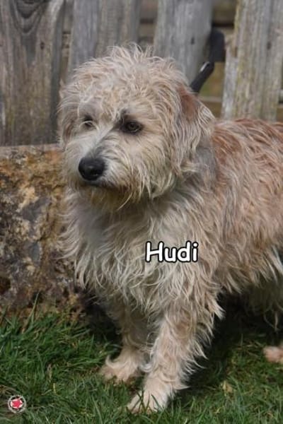 HUDI