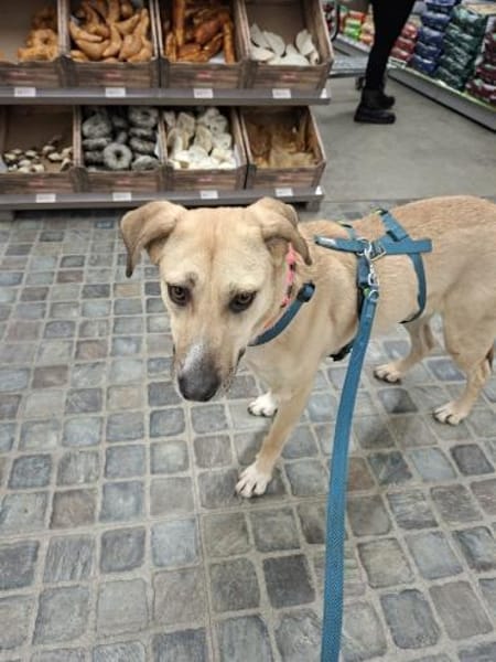 Melina Mut auf Zukunft heißt ihre Devise