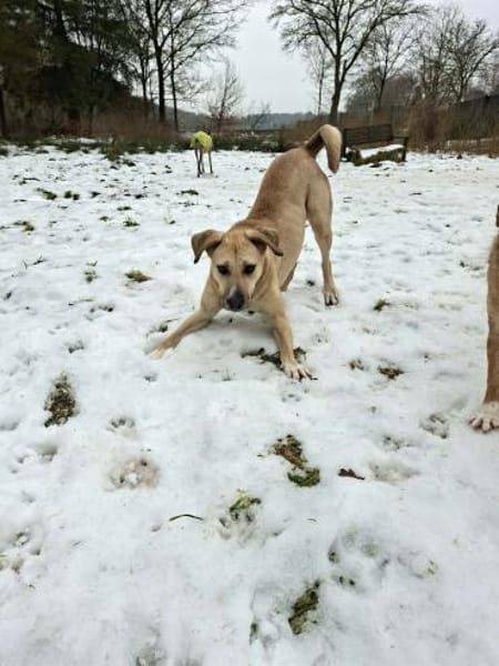 Melina Mut auf Zukunft heißt ihre Devise