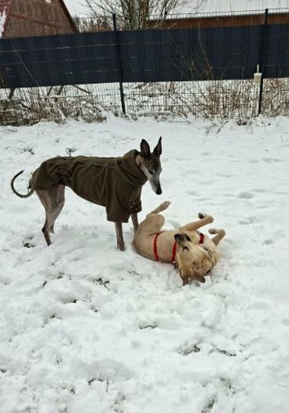 Melina Mut auf Zukunft heißt ihre Devise