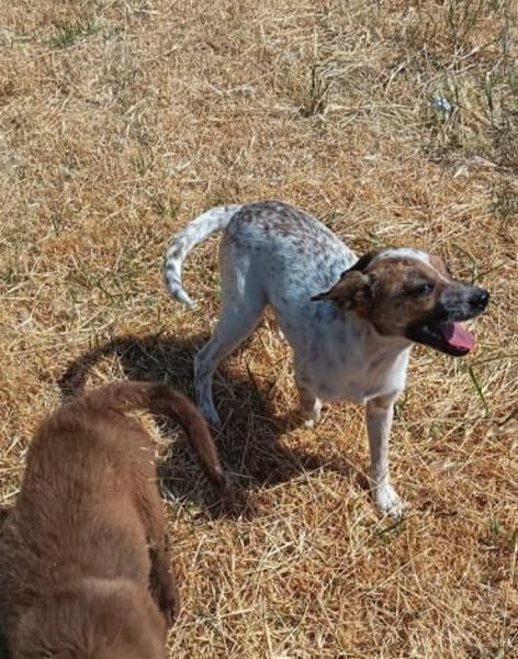 Holly möchte geliebt werdeb