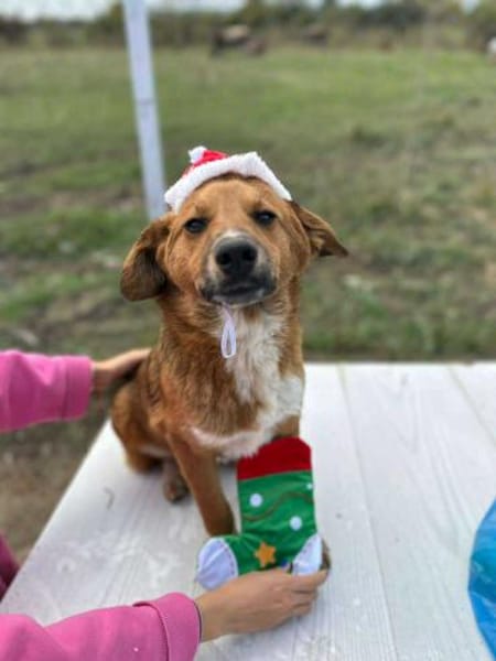 Moritz, klein, schnuckelig, sucht