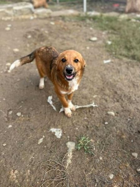 Moritz, klein, schnuckelig, sucht