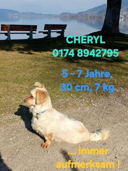 CHERYL sucht liebevolles Zuhause