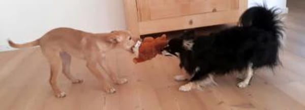 Ada süßes zartes Prinzesschen