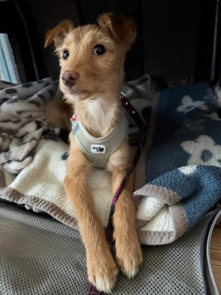 Ada süßes zartes Prinzesschen