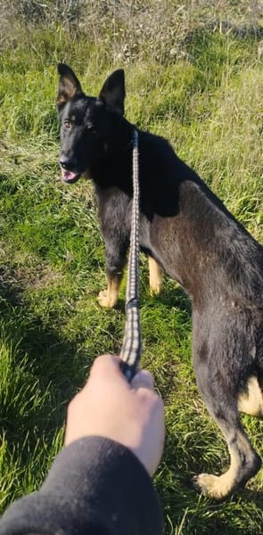 Freddy braucht euch dringend