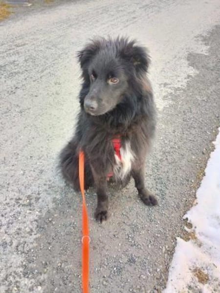 aktiver Parker auf PS in 95448