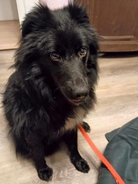 aktiver Parker auf PS in 95448