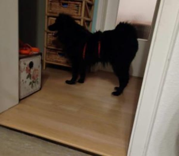 aktiver Parker auf PS in 95448