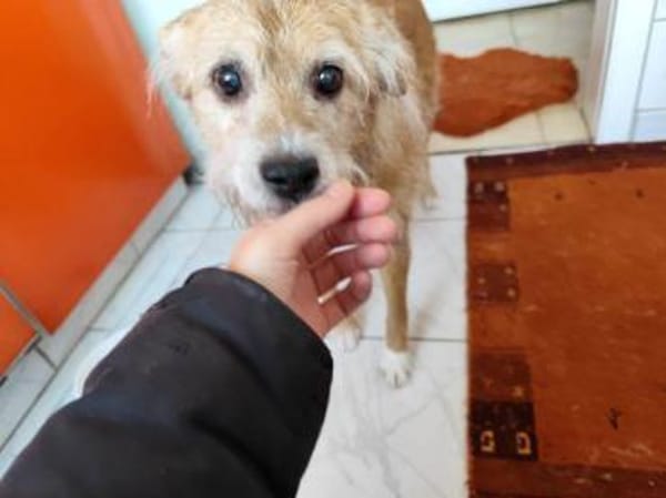 SOS für Omi Gala auf PS 34277