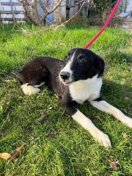 Wunderschöne Hannah sucht ihre Familie