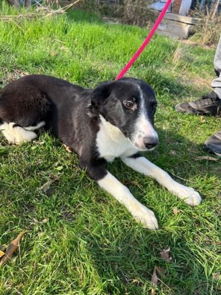 Wunderschöne Hannah sucht ihre Familie