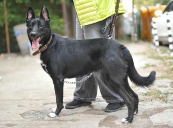 Zara sucht ihre Familie