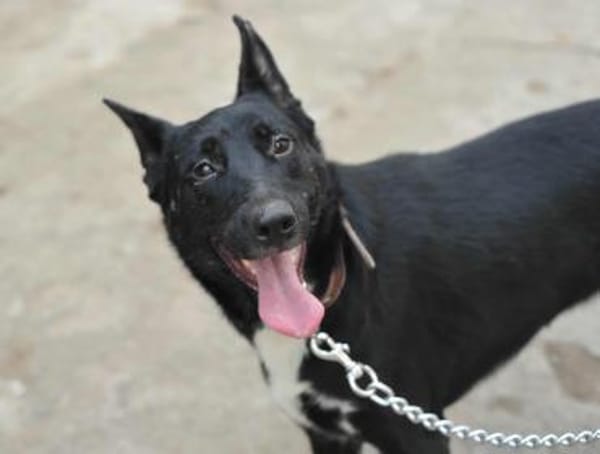 Zara sucht ihre Familie