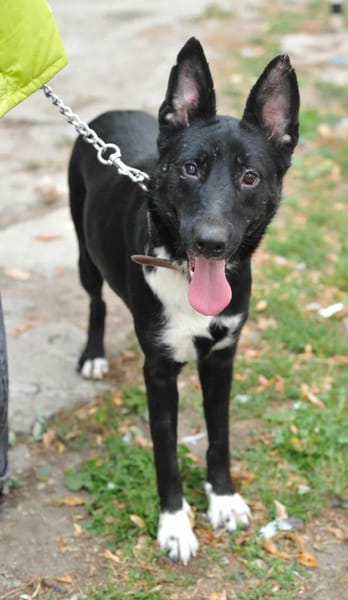 Zara sucht ihre Familie