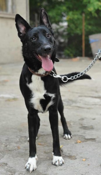 Zara sucht ihre Familie