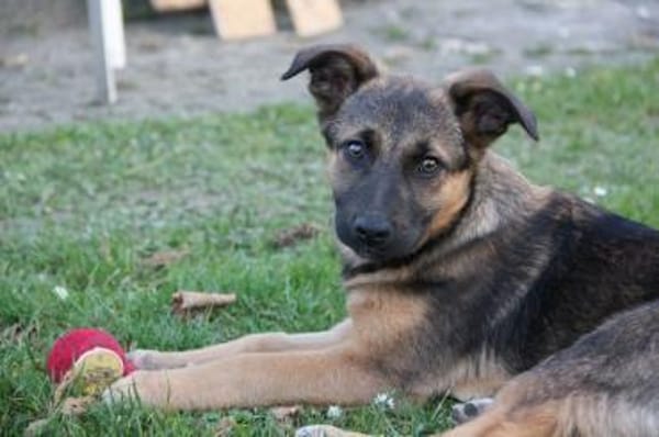 INOLA, neugierige junge Dame sucht