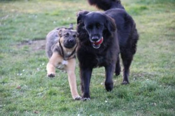 INOLA, neugierige junge Dame sucht