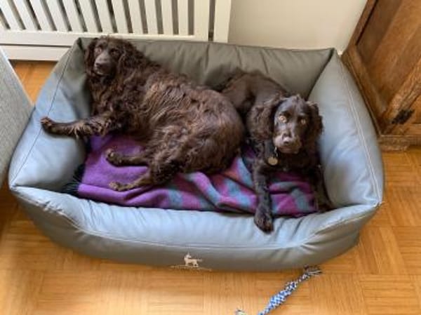 Moka sucht Herzensmenschen