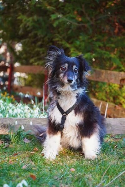 Sensible Hope braucht Nähe und Ruhe