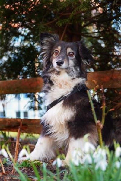 Sensible Hope braucht Nähe und Ruhe