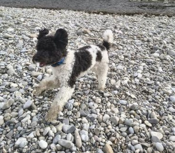 Marmor muss endlich ankommen!