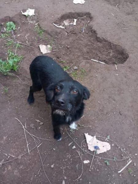 LINA 💛💛💛 sanft und liebenswert