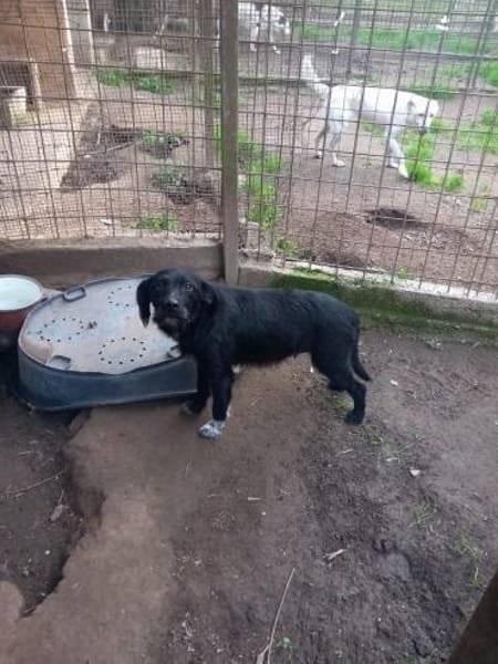 LINA 💛💛💛 sanft und liebenswert