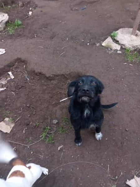 LINA 💛💛💛 sanft und liebenswert