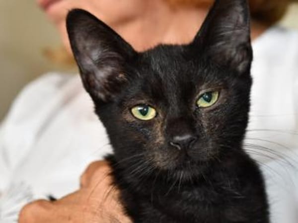 Pascal möchte endlich ankommen