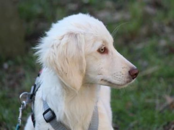 Gioia möchte Sie durchs Leben begleiten