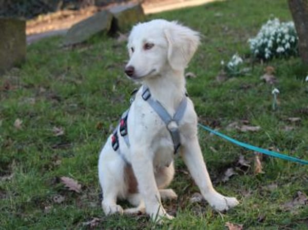 Gioia möchte Sie durchs Leben begleiten