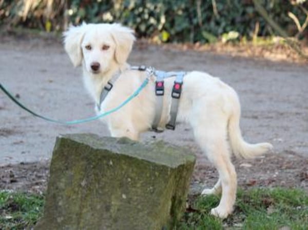 Gioia möchte Sie durchs Leben begleiten