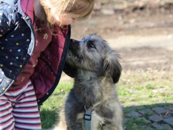 Pompeo wünscht sich eine Familie