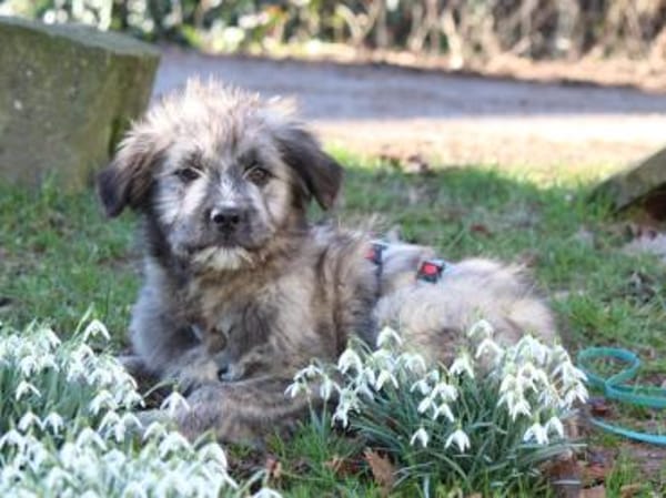 Pompeo wünscht sich eine Familie