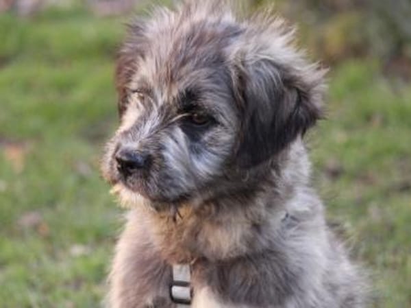 Pompeo wünscht sich eine Familie