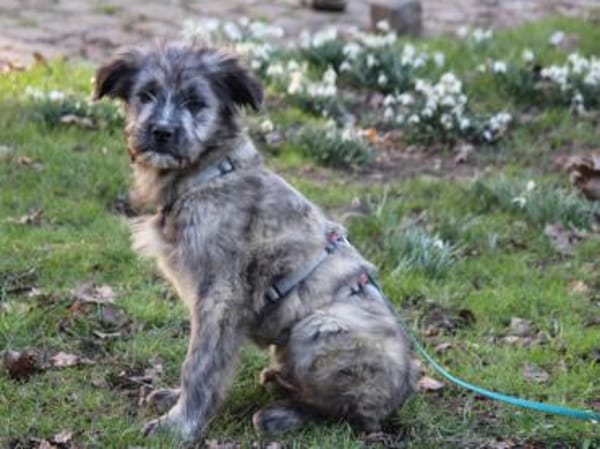 Pompeo wünscht sich eine Familie