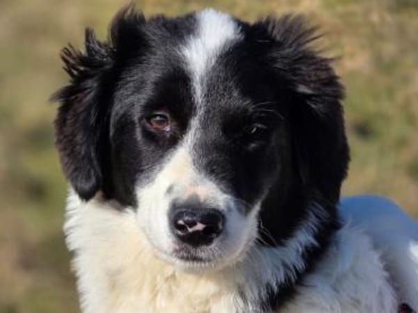 Letizia hofft auf ihre Chance