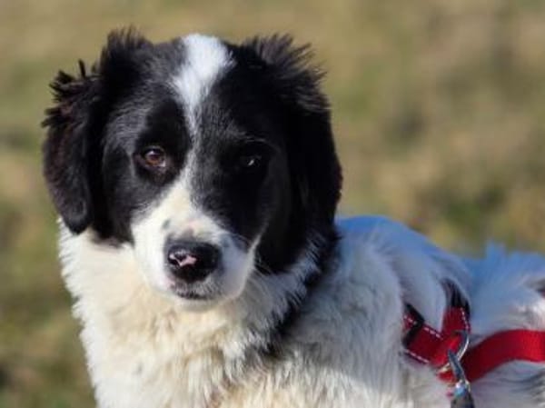 Letizia hofft auf ihre Chance