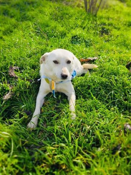 Pamuk die sanfte Schönheit