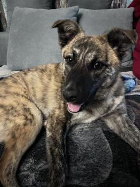 Gestromte Schönheit sucht ihr Glück