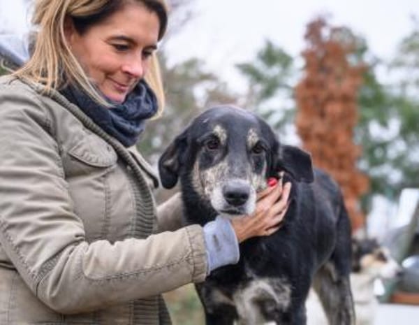 Casper wartet auf dich!