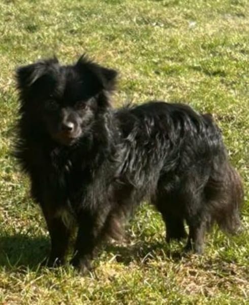 Jul - sucht liebevolle Menschen