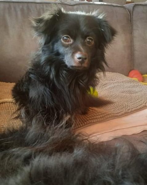 Jul - sucht liebevolle Menschen